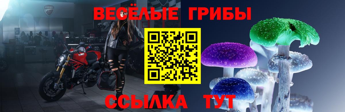 Галлюциногенные грибы мицелий Химки